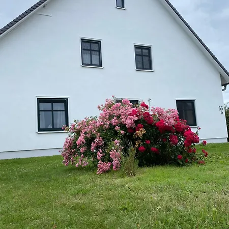 アパート Ferienwohnung Gross Zicker Groß Zicker