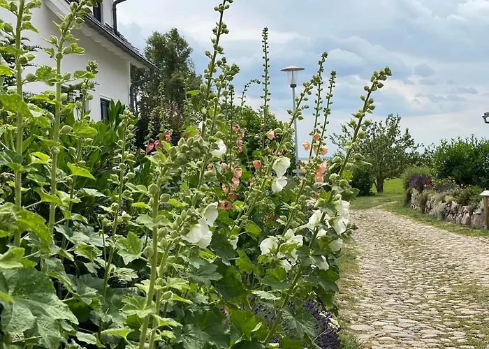 Ferienwohnung Gross Zicker
