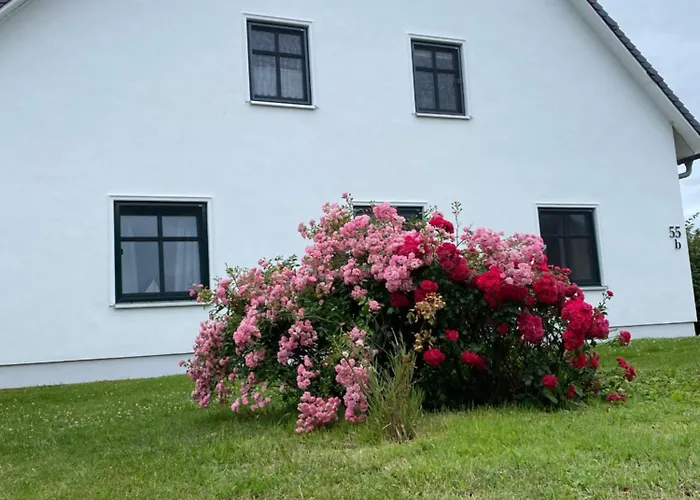 公寓 Ferienwohnung Gross Zicker Groß Zicker